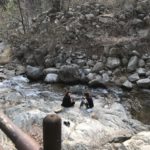 Picnic sur bord de rivière