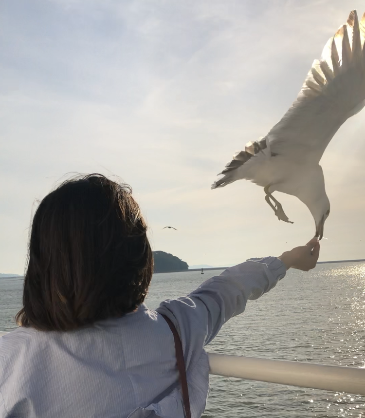 feeding seagulls is some weird extreme sport i swear.